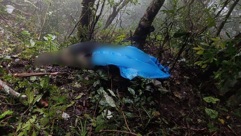  Update jatuhnya ATR 42-500: Jenazah diduga pramugari ditemukan di tebing Gunung Bulusaraung