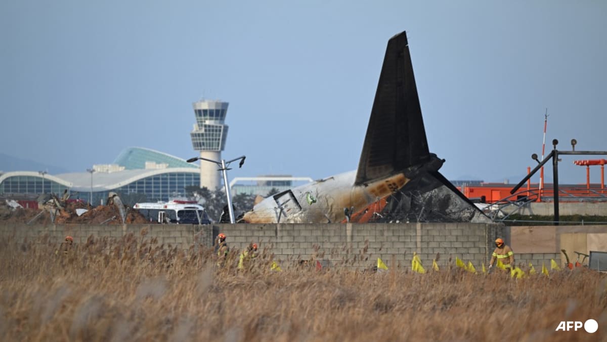 South Korea plane crash victims would have lived but for runway barrier: Simulation