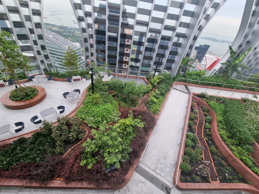 51 floors up in Singapore, the world&rsquo;s highest urban farm produces surprises for its restaurants