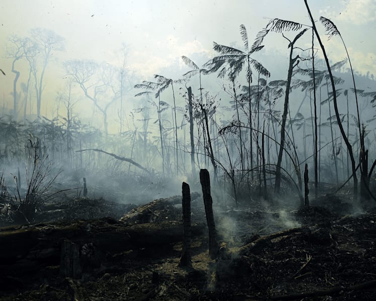 How Covid-19 foretells the climate crisis and shows the value of one's life depends on nationality
