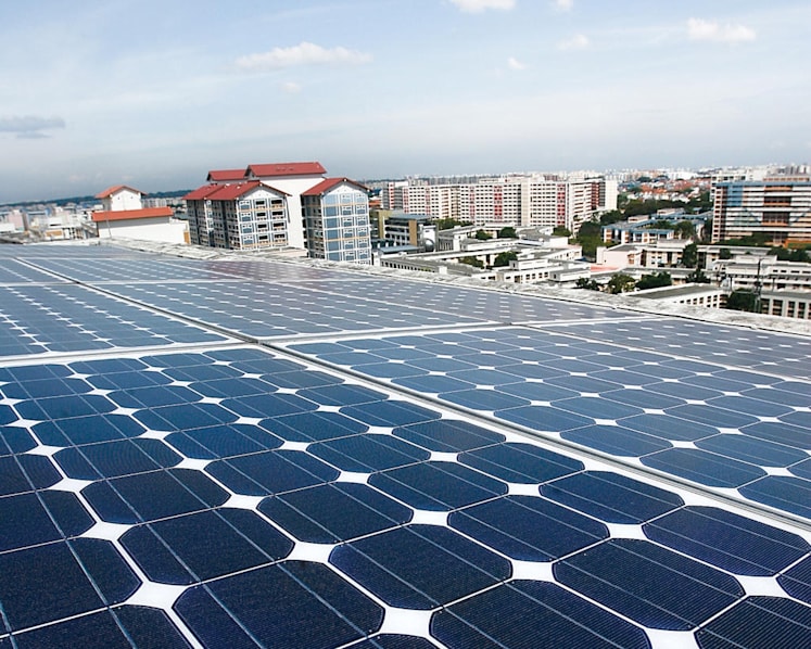 Green steps that Singapore should take urgently