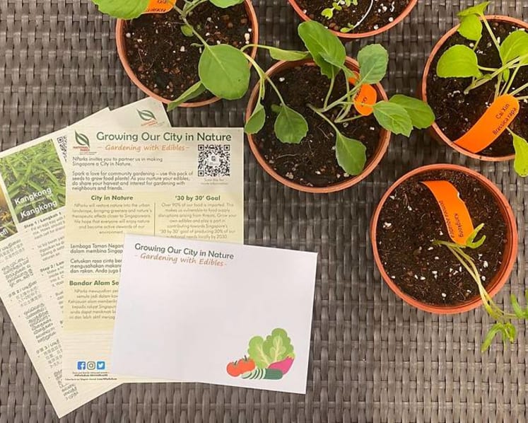 NParks to give packets of vegetable seeds to households to encourage home gardening 