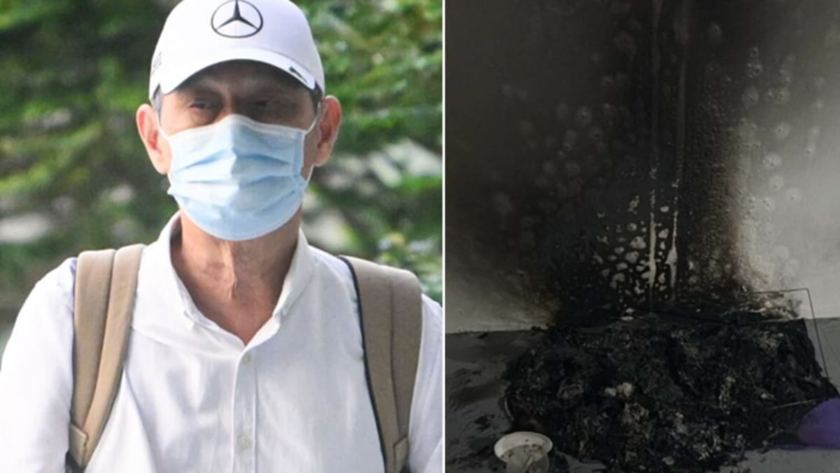 Man gets jail for setting fire to cardboard cat houses placed at void decks