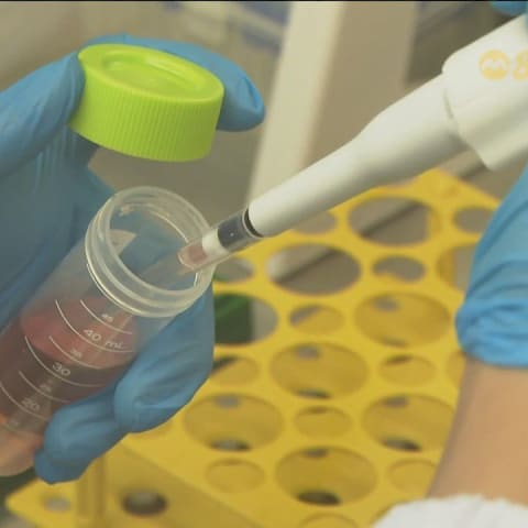 国大研究以人脑细胞取代芯片 打造生物数据中心样板