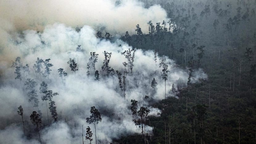 Riau siaga penuh antisipasi meningkatnya ancaman kebakaran hutan dan lahan