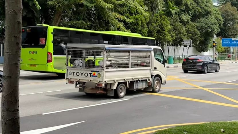 Ban of caged lorries for worker transport 'small step in the right direction': Rights groups