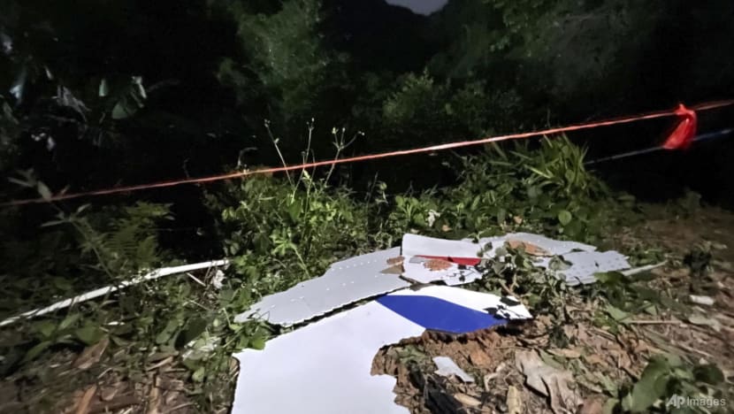 No survivors found as search continues in China Eastern flight MU5735 plane crash: State media