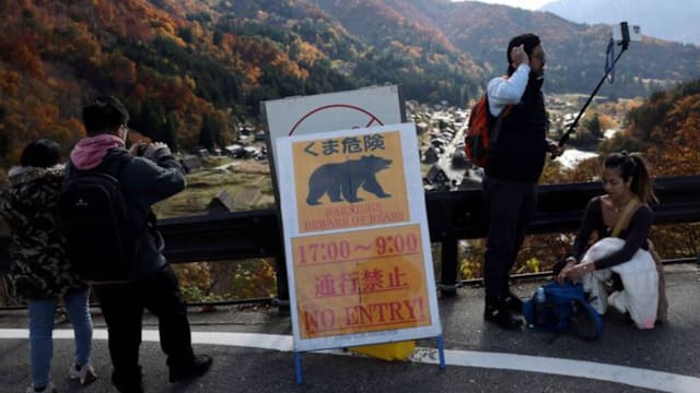 日本熊中枪装死突袭猎人 逃逸三日后寻获尸骸