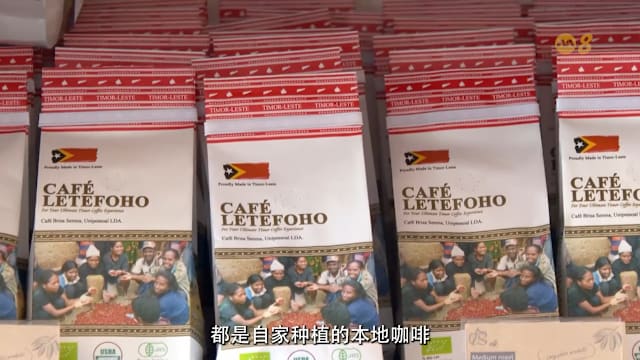 焦点 | 东帝汶咖啡香飘向世界