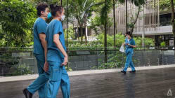 Related article image