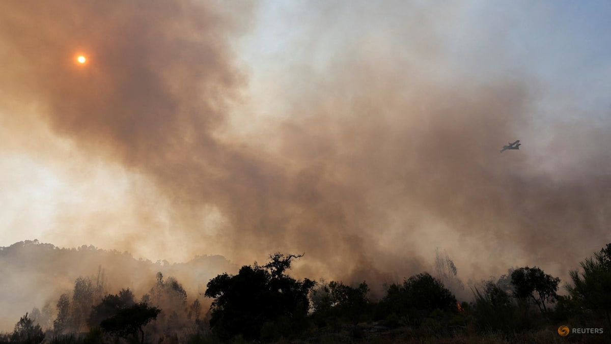 'Significant' acceleration of global warming since 2015: Study