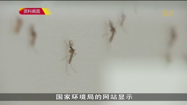本地上周新增的骨痛热症病例回落到292起
