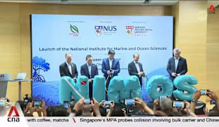 Singapore launches new S$60m institute to strengthen marine conservation, management