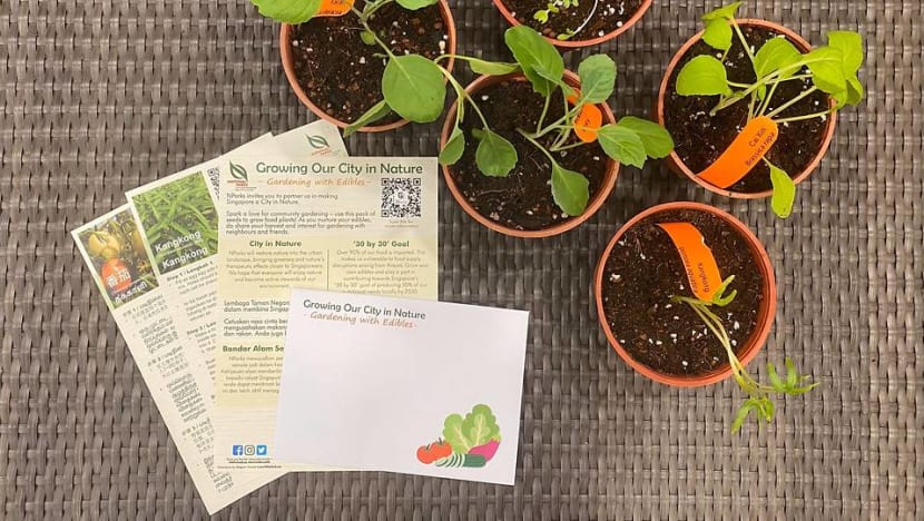 NParks to give packets of vegetable seeds to households to encourage home gardening 