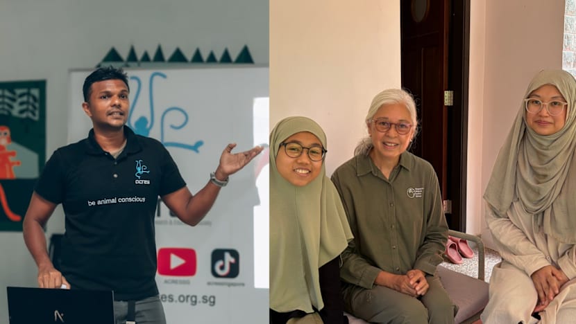 BERITA+: Usaha pemuliharaan hidupan liar SG dipergiat, lindungi spesies tempatan
