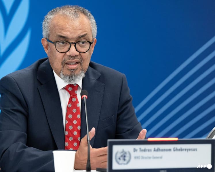 'Limited' hantavirus outbreak not the start of pandemic, says WHO