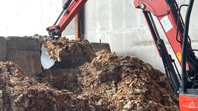 Memanfaatkan sampah: Sisa makanan boleh dijadikan kompos dan makanan serangga Memanfaatkan sampah: Sisa makanan boleh dijadikan kompos dan makanan serangga