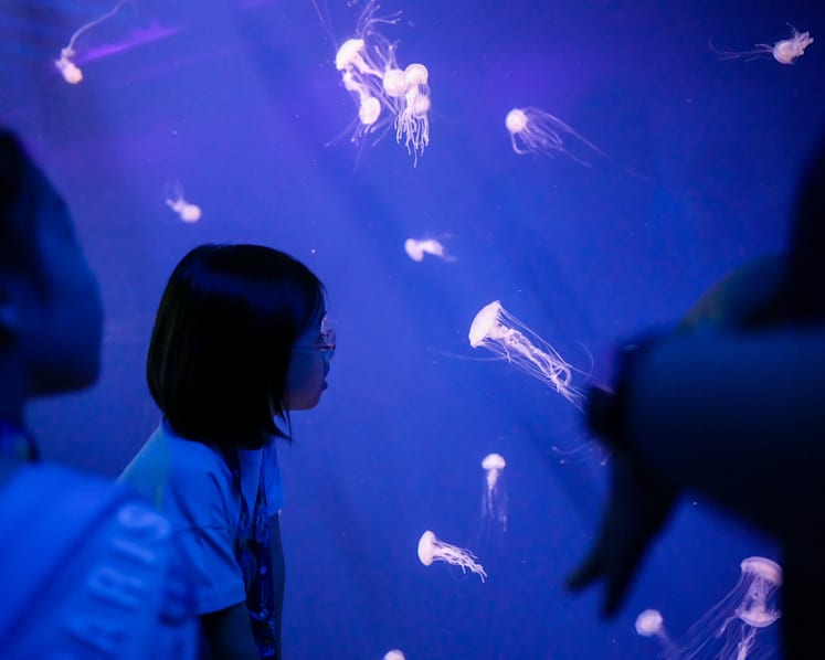 Best things to do in Singapore this weekend (June 16-18)