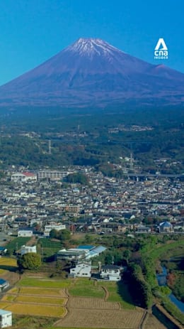 How Japan weakened China's rare earth threat