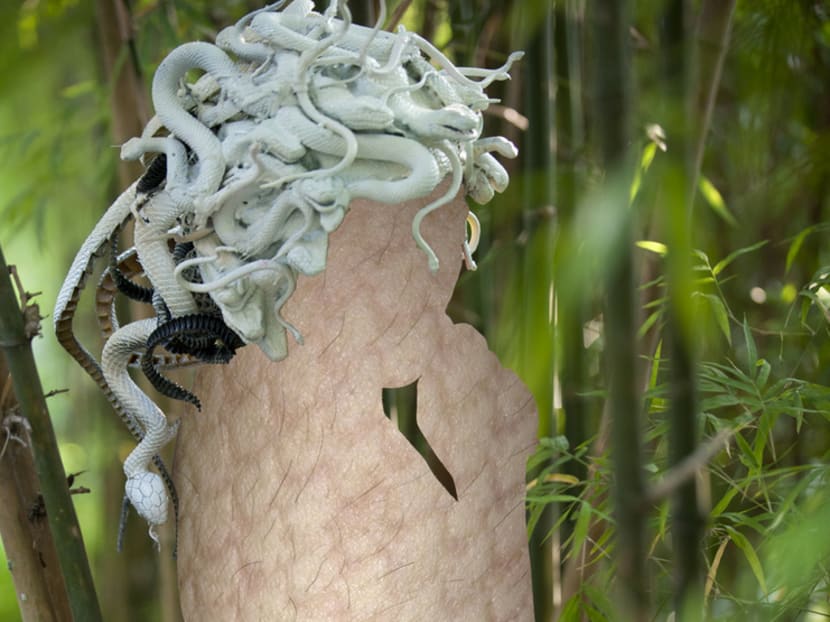 S’pore Fringe Fest 2016: Animal instincts unleashed for next year