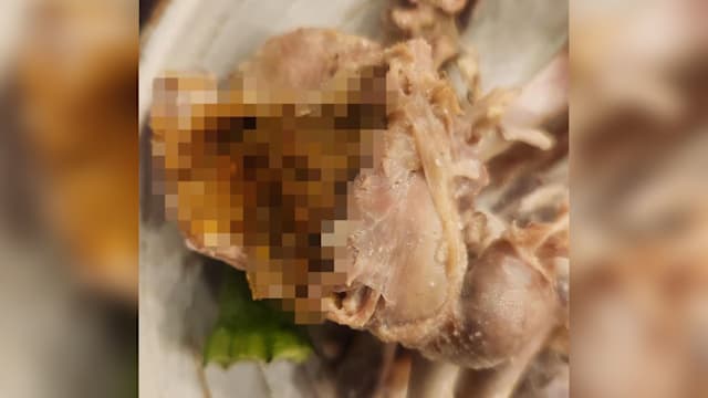 韩国参鸡汤名店 被爆汤中带有鸡粪