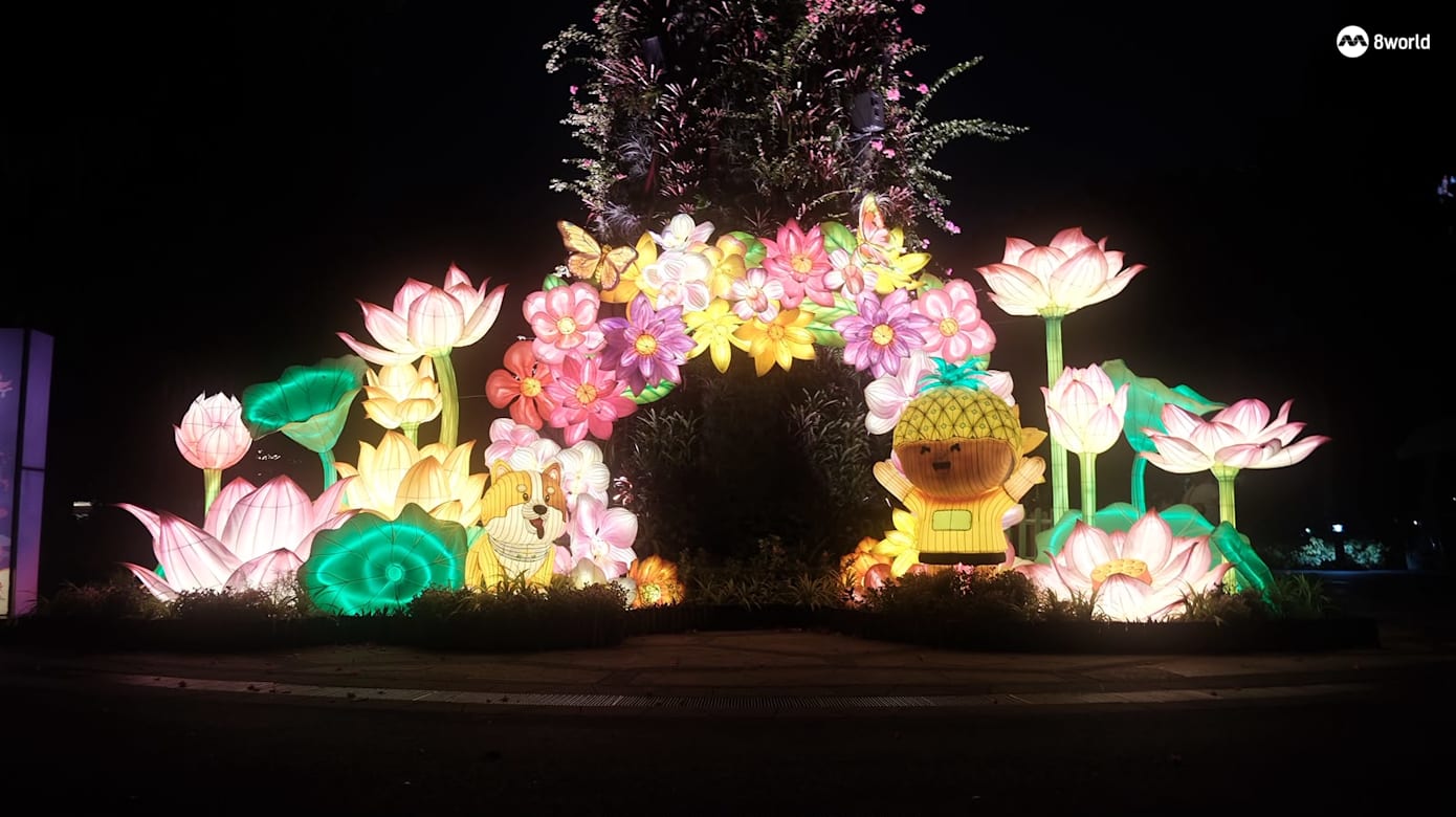 花攒锦聚（Colourful Blossoms）。（图：许凯菱）