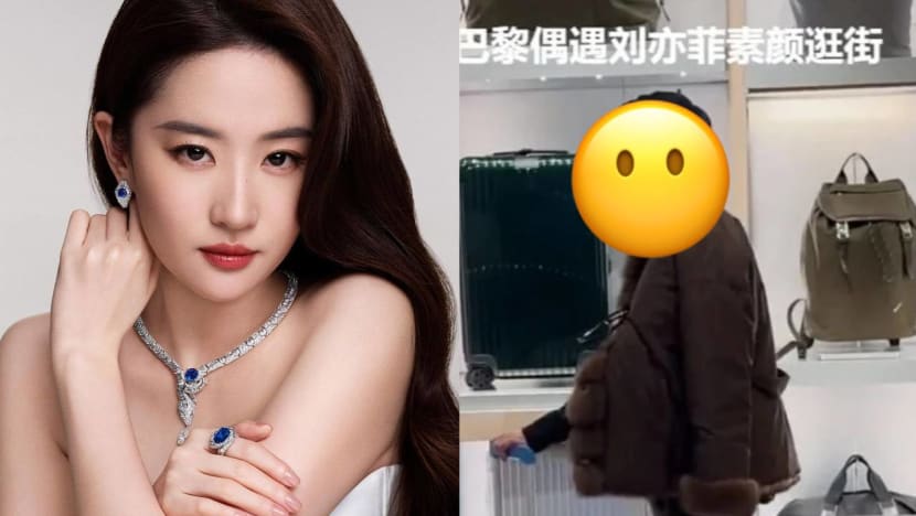 Liu Yifei Called "Haggard" And "Ordinary" By Netizen After Rejecting Photo Request
