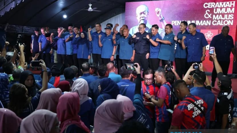 PRN Johor: BERSATU umum 16 calon bertanding