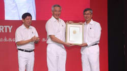 Related article image