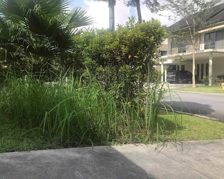S’poreans with homes in Malaysia in limbo due to border restrictions, some paying double the living costs