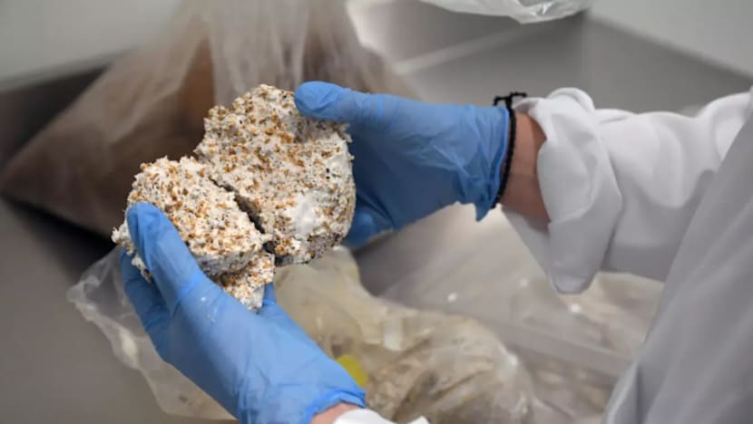 காளானை வைத்துப் பொட்டலமா?