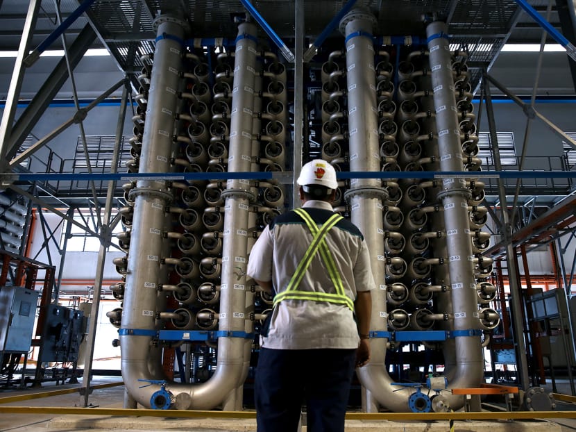 Water goes through the membrane filtration system at Lower Seletar Waterworks to remove finer suspended particles such as bacteria, algae and micro-animals.
