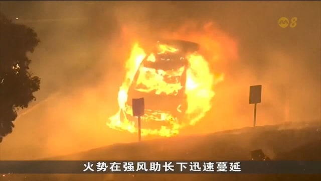 美国加州爆发野火 逾8100所房屋和建筑受威胁