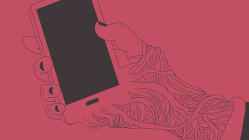Related article image