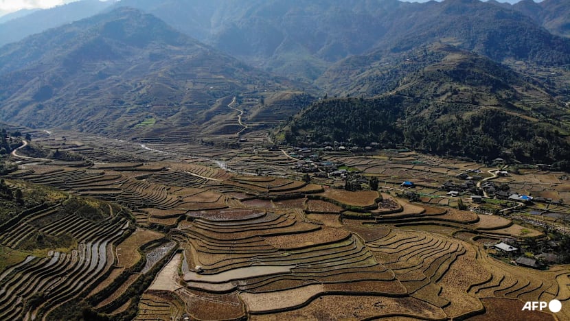 At least 7 killed in Vietnam after bus overturns