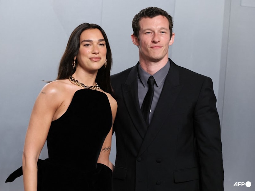 Dua Lipa interrupts Portugal coach Roberto Martinez's press conference ahead of Euro 2024 clash