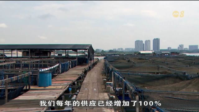 本地六家传统养鱼场首次将渔货引进超市售卖