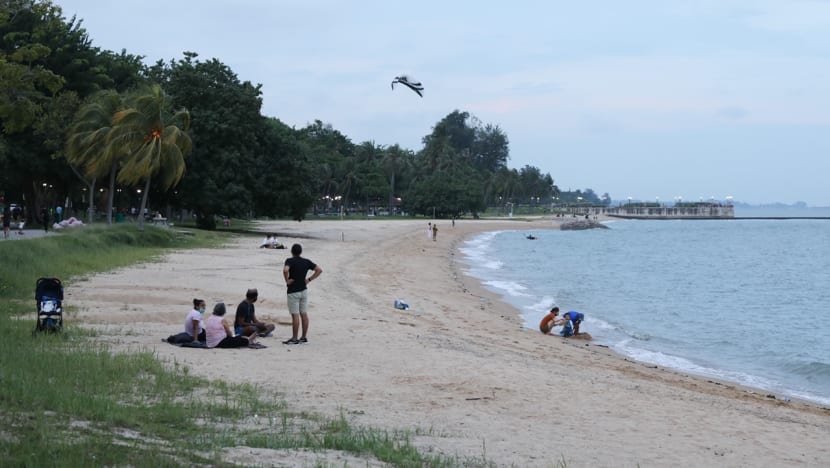 NEA to provide weekly water quality data for 7 popular beaches