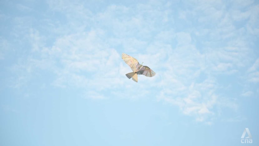 Related article image