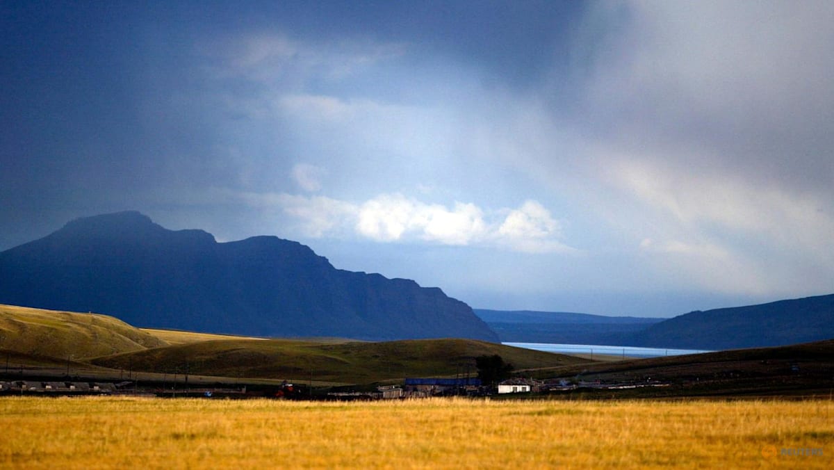 Cattle disease spreads in Russia amid scepticism over diagnosis