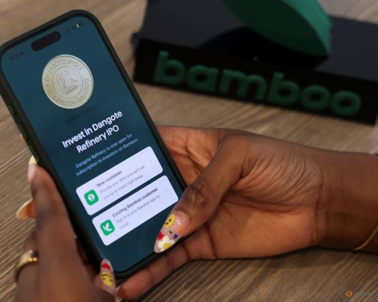 Dangote IPO tests Nigeria's fintech infrastructure as investor demand overwhelms platforms