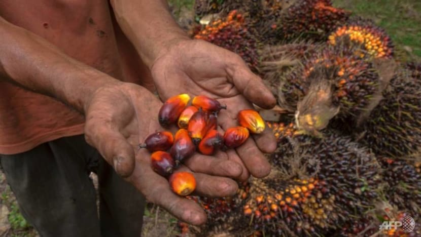 Indonesia’s palm oil export ban beginning Apr 28 to include crude and refined products: Minister Indonesia’s palm oil export ban beginning Apr 28 to include crude and refined products: Minister