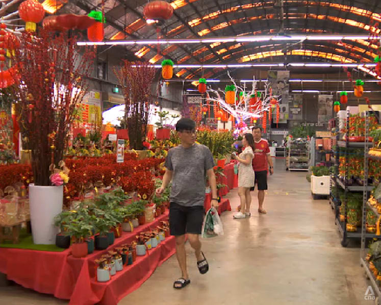 Why your Chinese New Year plants are likely to be more expensive this year