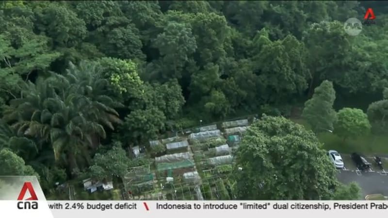 More greenery to be retained at Maju Forest, Gillman Barracks following public feedback