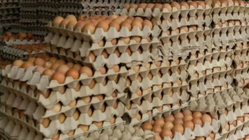 Bekalan telur ayam berkurangan dalam kalangan peruncit M'sia Bekalan telur ayam berkurangan dalam kalangan peruncit M'sia