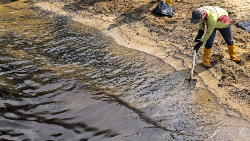 Cleaning of all beaches affected by oil spill to be completed 'within the next one month or so': Grace Fu Cleaning of all beaches affected by oil spill to be completed 'within the next one month or so': Grace Fu