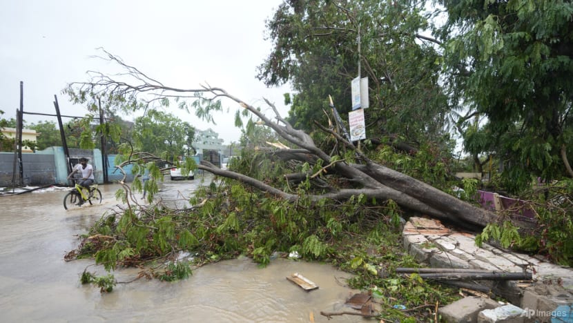 Thousands in western India relief camps start returning home as Cyclone Biparjoy recedes Thousands in western India relief camps start returning home as Cyclone Biparjoy recedes