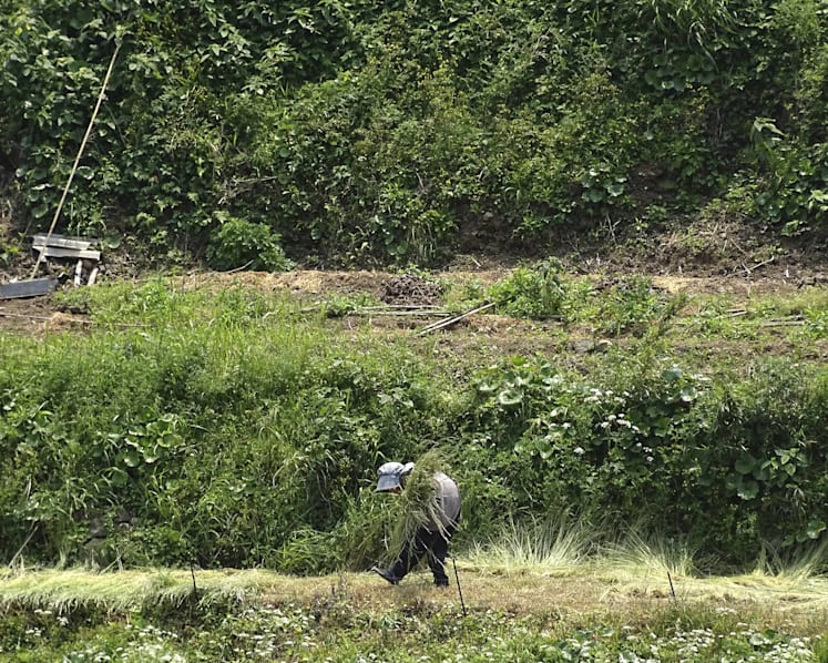 Costs, tight timeline among farmers' concerns over tender