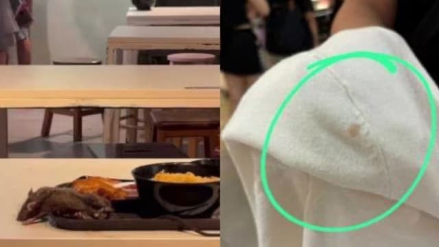 目睹老鼠“从天而降”  诗家董食阁鼠患吓坏孕妇   
