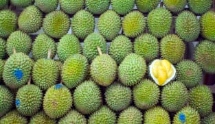 Disebut buah nasional Singapura, ternyata durian memang bisa tumbuh di Negeri Singa
